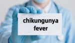The Invisible Guardians Behind Chikungunya Fever Testing