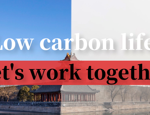 What Can Help Us Achieve A Low-Carbon Life?